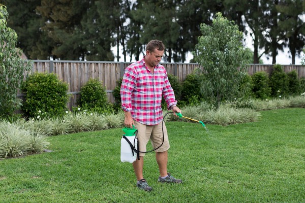 Weed Control | All Turf Solutions