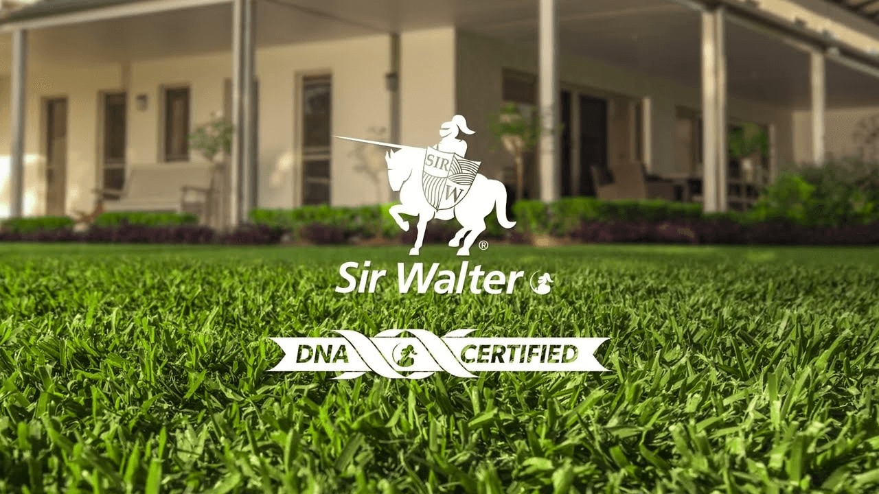 Sir Walter DNA Certified logo
