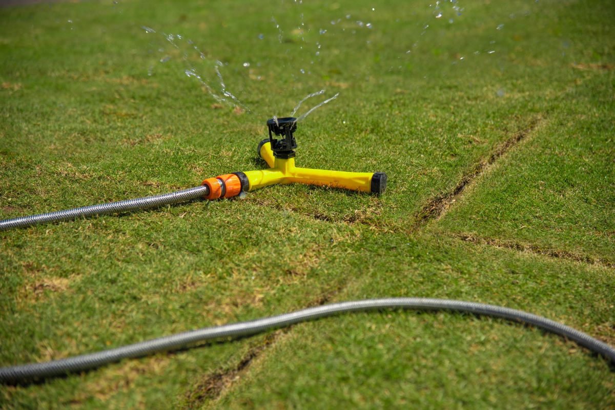 Sprinkler watering Sir Walter Turf