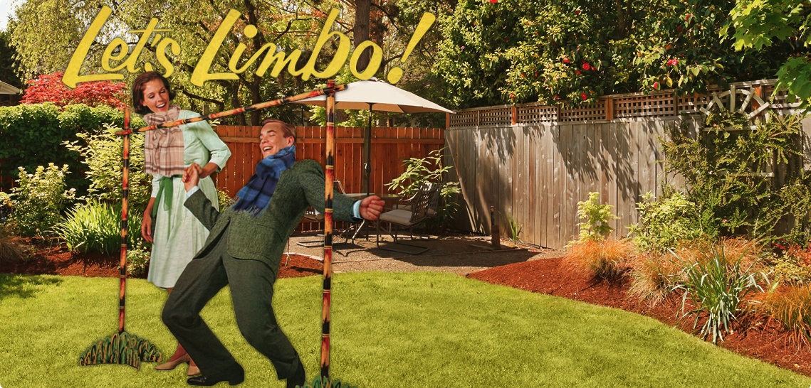 limbo in a backyard