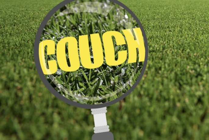 Couch Grass
