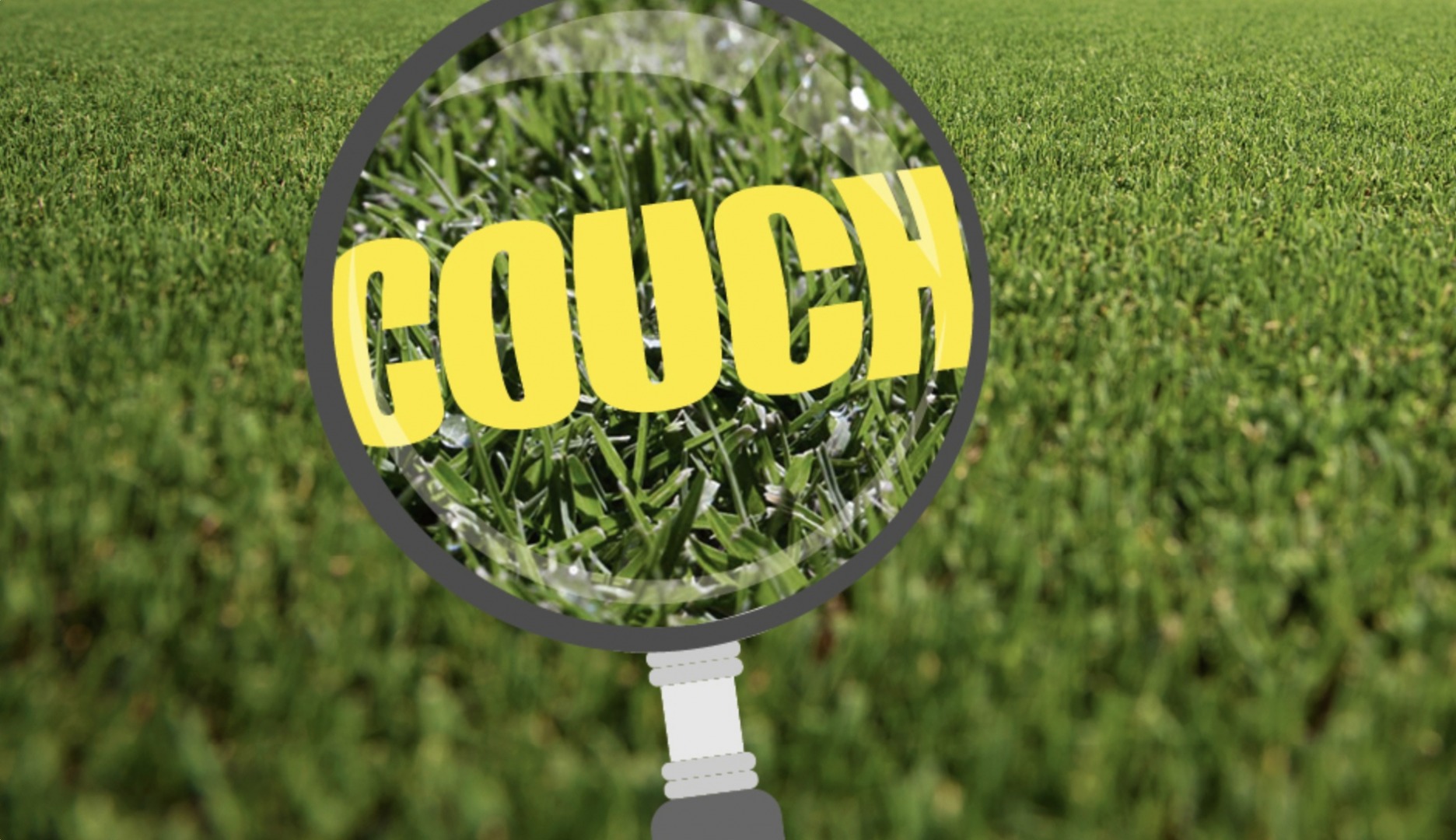 Couch Grass