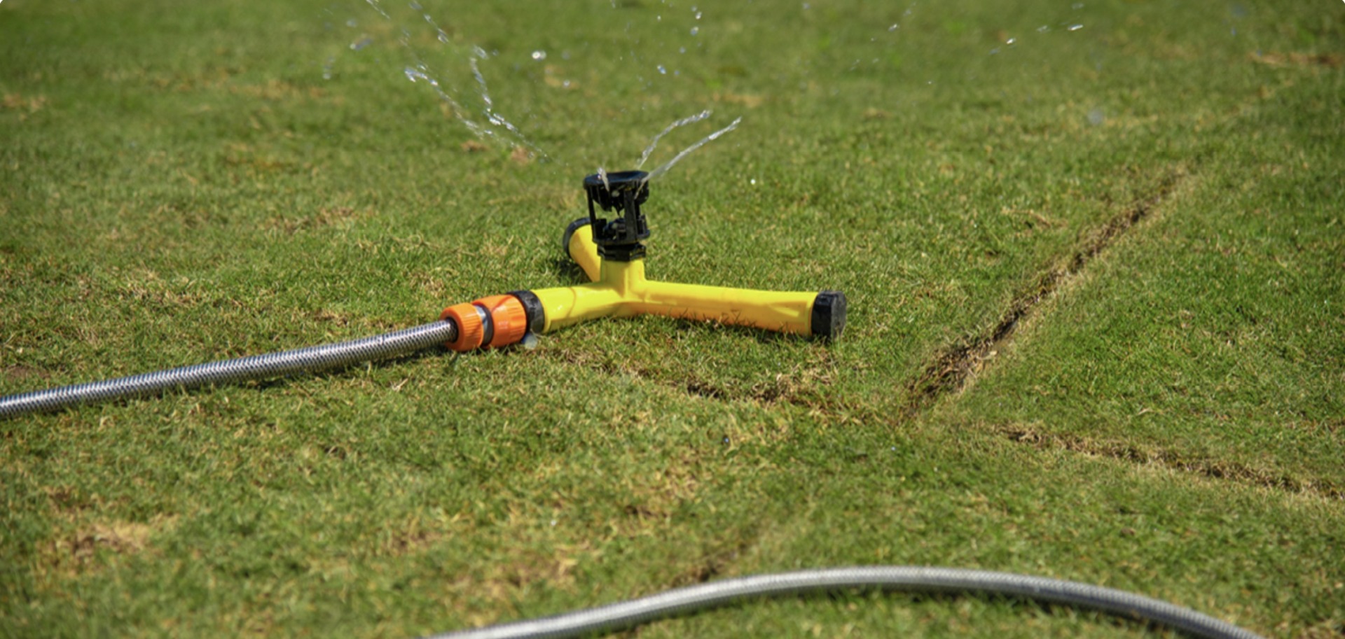How to care for a new lawn