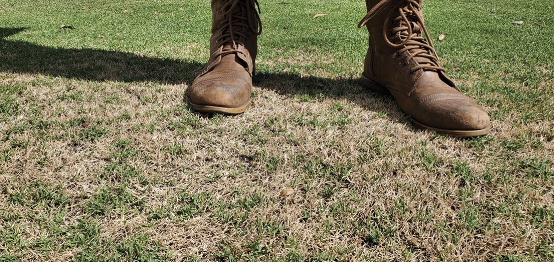 How to treat dry spots in your lawn