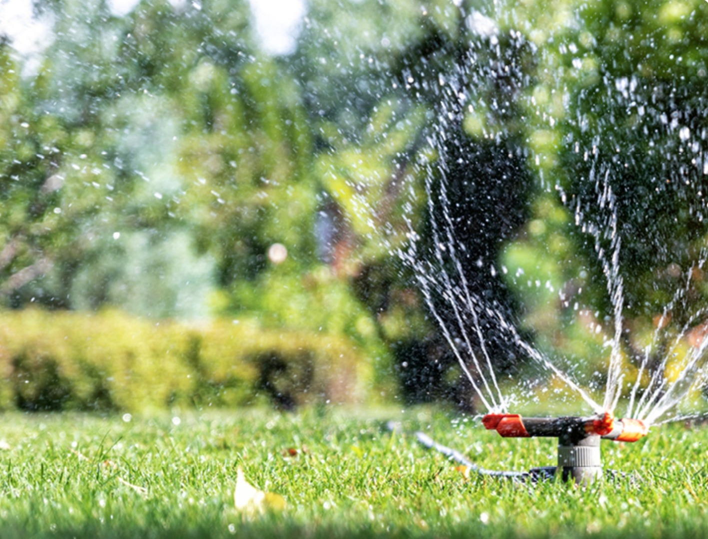 A Complete Guide for Watering Lawns
