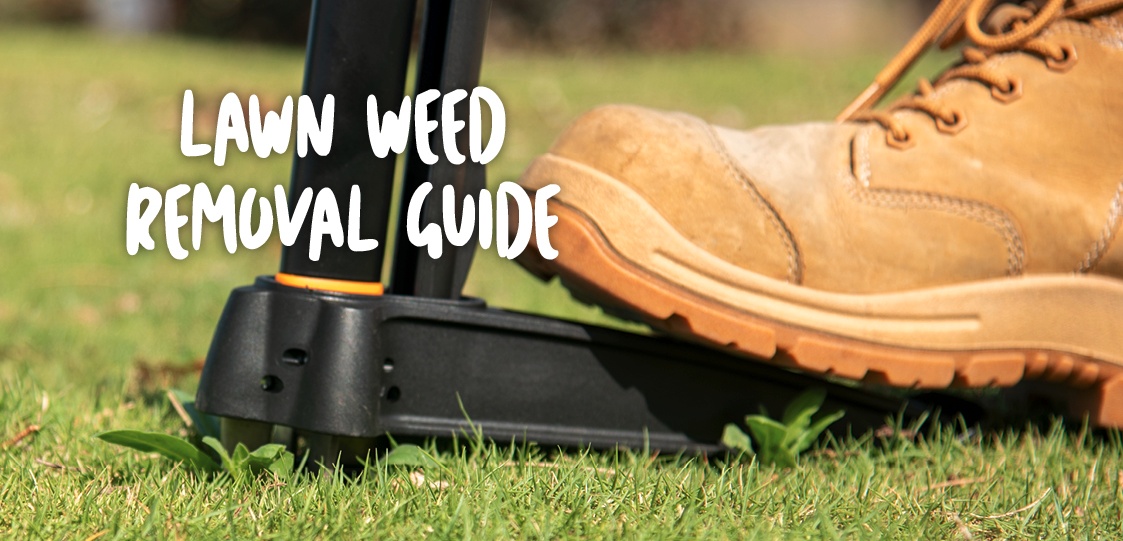 The Lawn Weed Removal Guide
