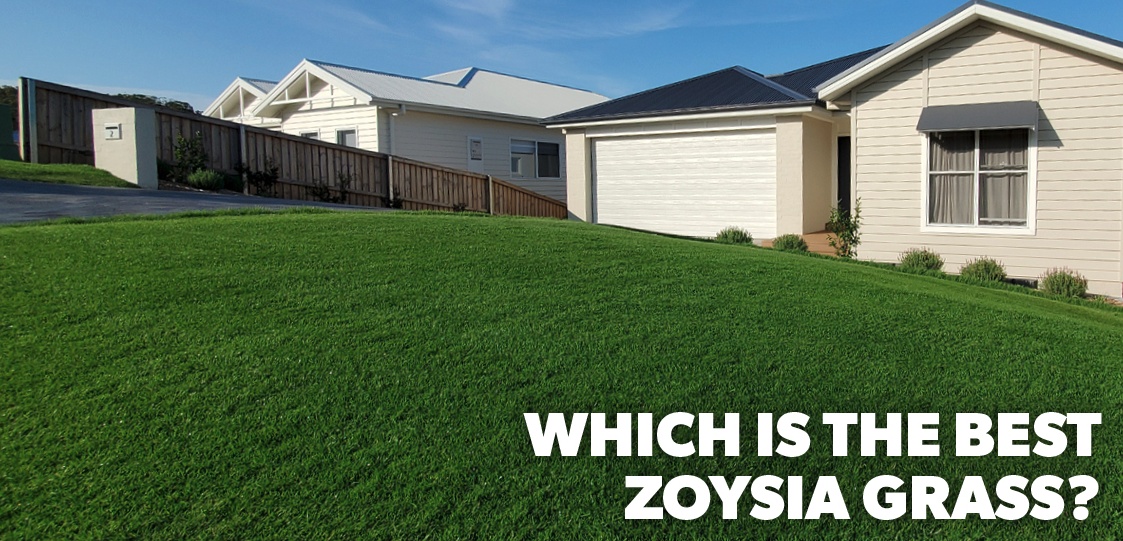 Which is the Best Zoysia Grass?
