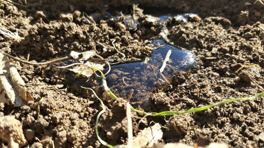 Water beading off soil