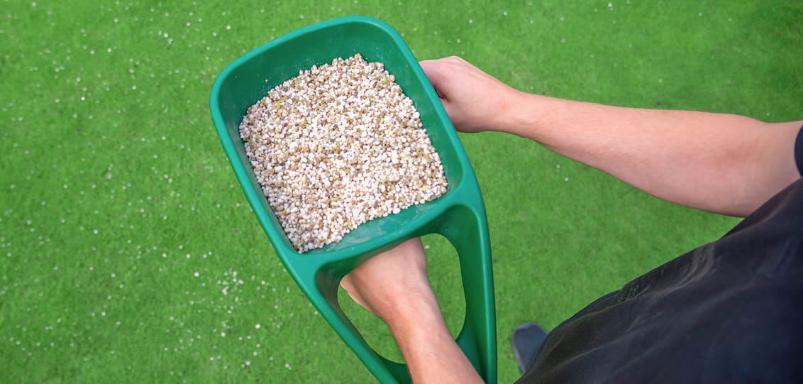 How Often Should You Fertilise Your Lawn: A Comprehensive Guide